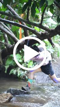 BIB:  <button type="button" onclick="openModal(27808885)" class="btn btn-primary btn-sm float-right" data-toggle="modal" data-target=".modal-high-quality">
                <i class="fa fa-download"></i> Download
                </button>